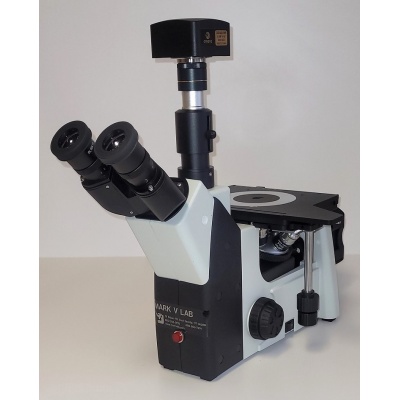 mxt1200250_1139537812