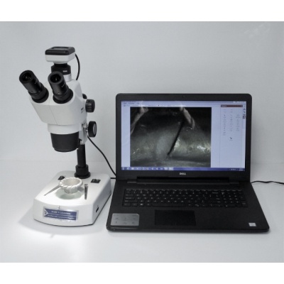 stereo microscope with digital camera